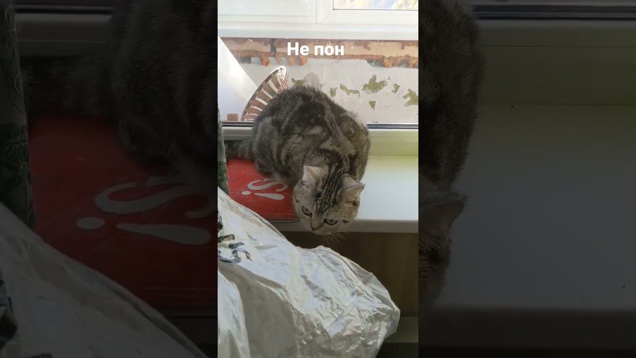 24 октября 2022 г. смотреть онлайн