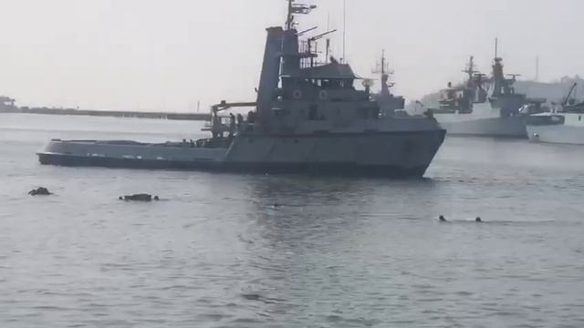 Paskal the bast смотреть онлайн