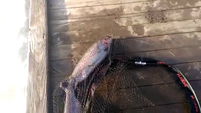 Обзор открытой воды и немного поимок) смотреть онлайн