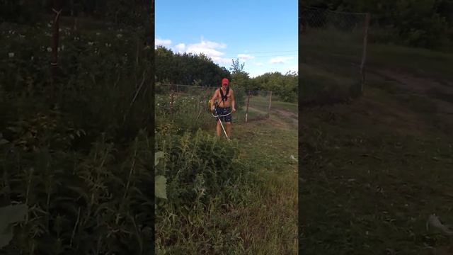 липецкая область Данковский район с. Ярославы смотреть онлайн