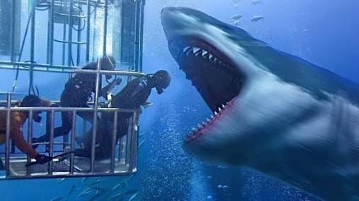 Если вы боитесь моря, лучше не смотрите. Шокирующее нападения Акул. смотреть онлайн