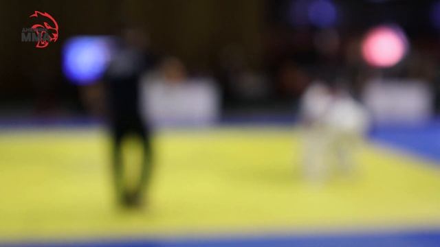 Турнир по рукопашному бою им. Бутейко. Дмитрий Крылов (Автофокус скачет) смотреть онлайн