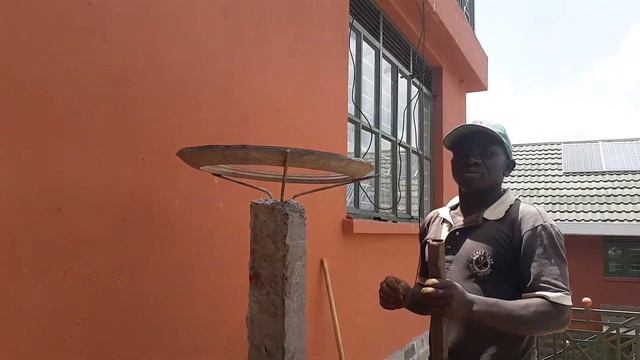 Step by step process on how to plant your dragon fruit cuttings! Paano magtanim ng dragon fruit? смотреть онлайн