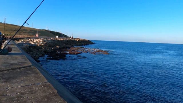 Крещенские морозы. Аномальные холода. Яффо - Израиль.Часть 1 смотреть онлайн