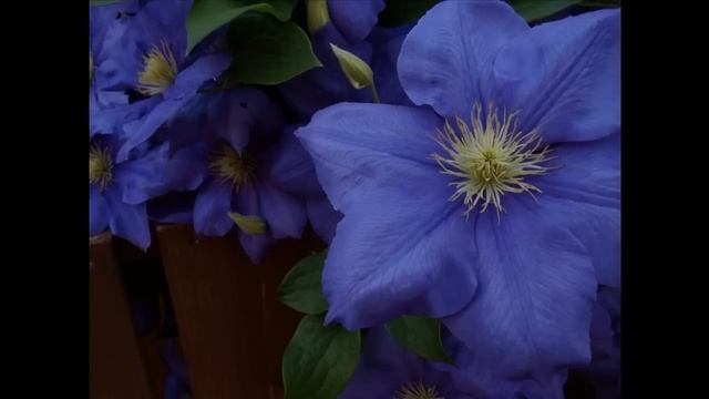 Test Footage - Sony Cybershot DSC W370 (I got a new camera!) смотреть онлайн