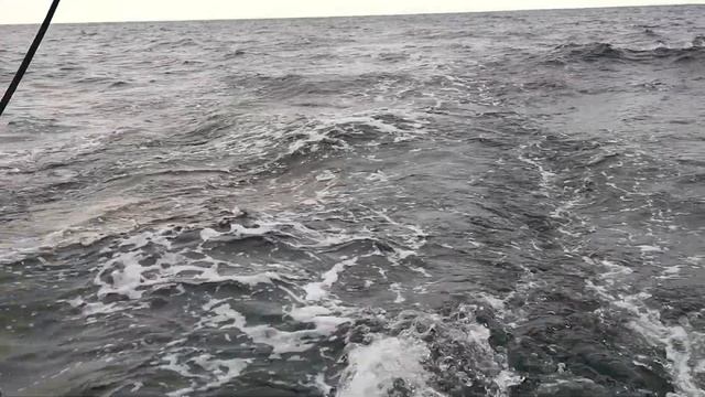 Германия, Росток- ганзейский город/Germany, Rostock-Hanseatic City