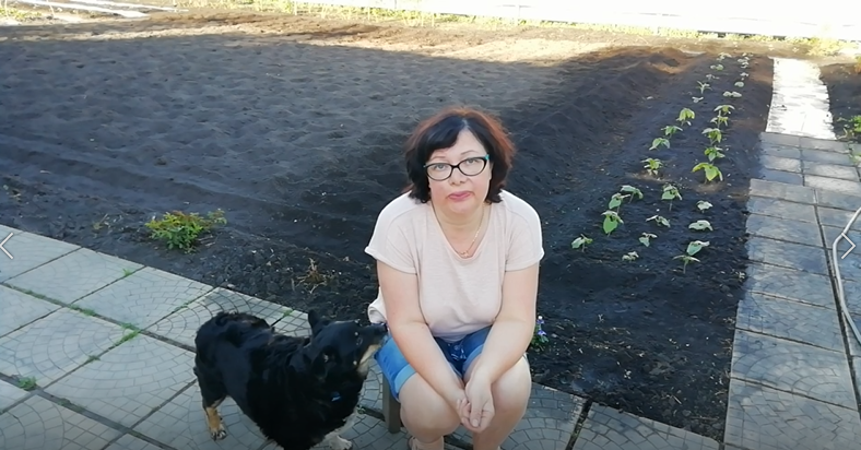 Подкормка рассады в теплице куриным пометом. смотреть онлайн