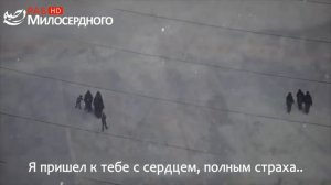 Сильный исламский НАШИД   Земля аль Харам ᴴᴰ