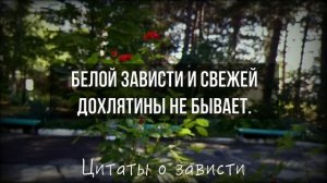 Мудрые Цитаты о Зависти и Завистливых людях, Правдивые слова до слёз!