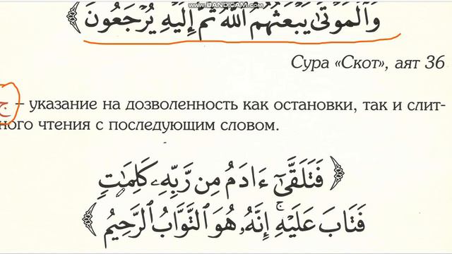 Муаллим сани 64 страница معلم ثاني (знаки остановок) смотреть онлайн