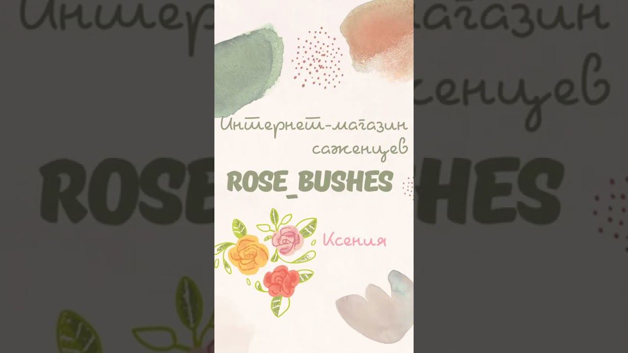 rose-bushes.ru(4) смотреть онлайн