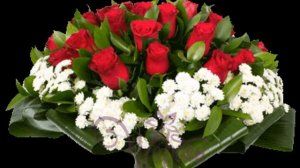 Сестре. С днём Рожденья. Елена Ваймер