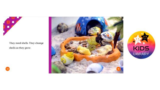 Hermit Crabs смотреть онлайн