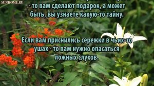 К чему снятся Серьги сонник, толкование сна