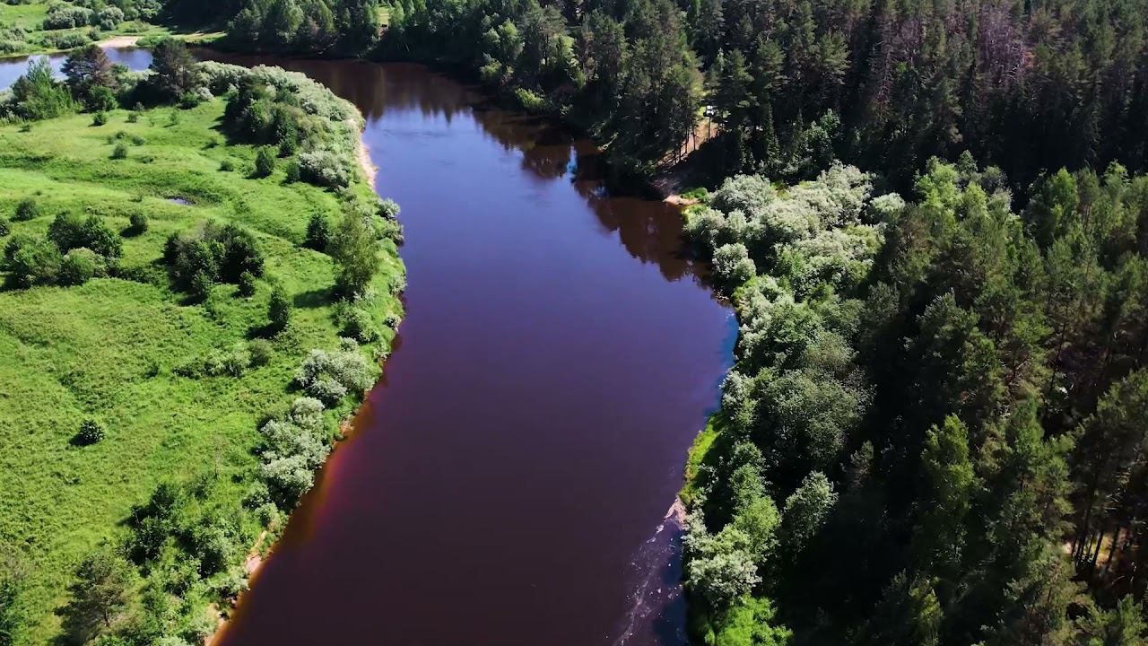 Мужские разговоры. Часть 4 смотреть онлайн