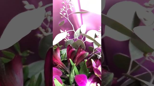 Букет «Нежные мечты» - готовый подарок на Международный женский день смотреть онлайн