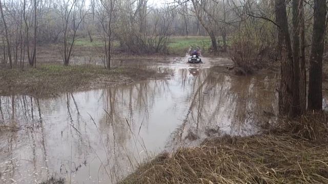 Переезд лужи 2 смотреть онлайн