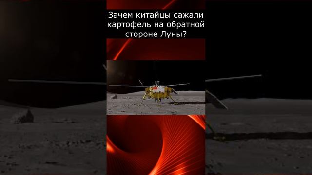 Зачем китайцы сажали картофель на обратной стороне Луны? смотреть онлайн