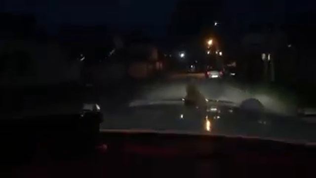 Король Людвиг о дорогах Нальчика: "Где мэрия?! Зачем столько "лежачих ментов"?!" смотреть онлайн