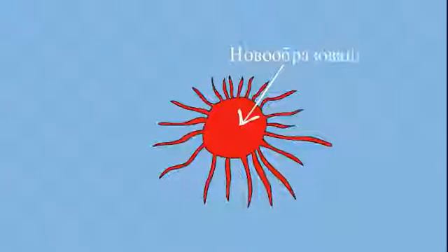 Почему рак назвали раком? смотреть онлайн