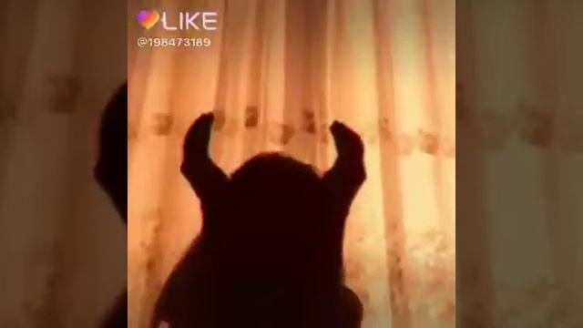 Видео из Likee : из ангела в демона смотреть онлайн