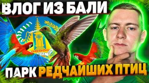 Влог из Бали. Парк самых редких птиц ????