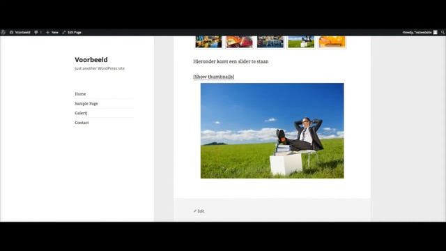 Uitleg NextGen gallery WordPress смотреть онлайн