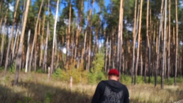 Как мы собирали грибы! смотреть онлайн