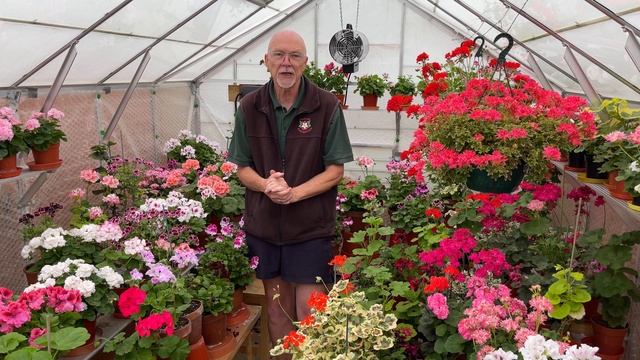 An Introduction from 'Mr Pelargonium' смотреть онлайн