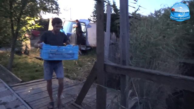 Рыбалка в Одесской области, с. Доброслав. Зарыбление карасем, август 2019 смотреть онлайн