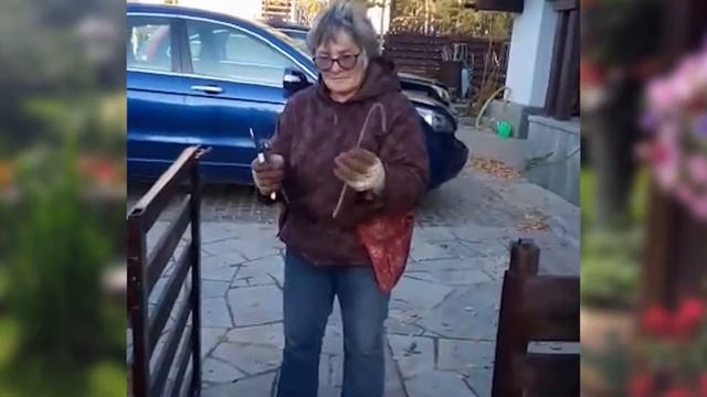 Плетистая роза - подготовка к зиме смотреть онлайн