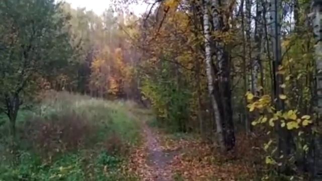 осенние пейзажи смотреть онлайн