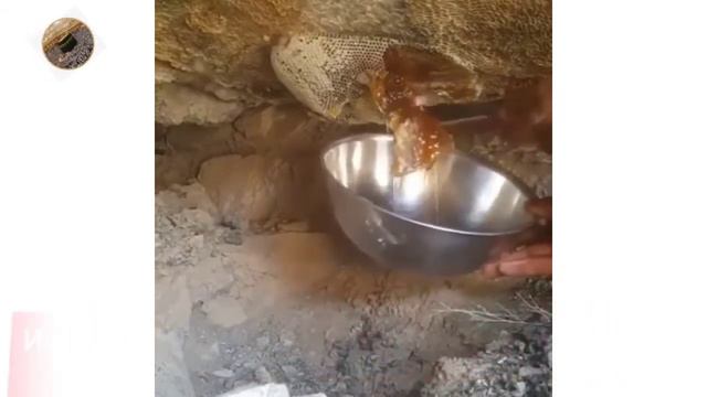 Священный Коран - это мудрость для его последователей смотреть онлайн