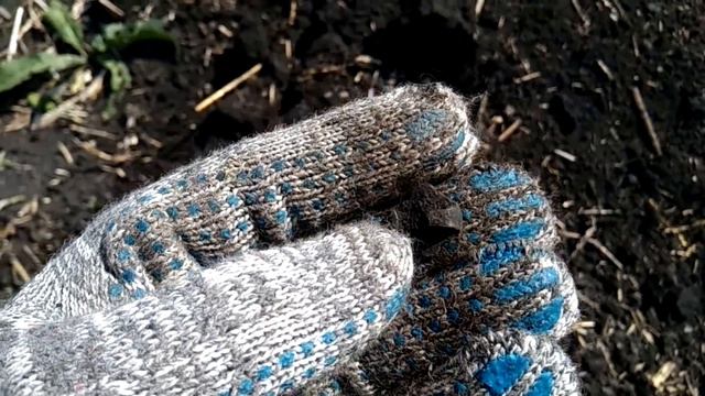 Ищем новые места где возможно спрятан клада смотреть онлайн