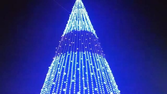 Новогодняя елка Севастополь 2020 смотреть онлайн