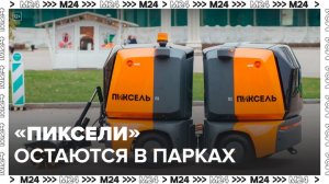 В парках Москвы начали работать 10 роботов-уборщиков "Пиксель" - Москва 24