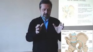 Анатомия таза. Косой таз. Причины. Рассказывает Андрей Найдек