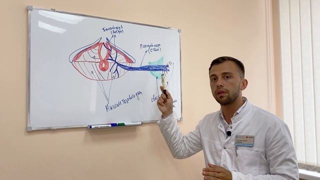 Половой нерв. Почему блокада нужна далеко не всегда? смотреть онлайн
