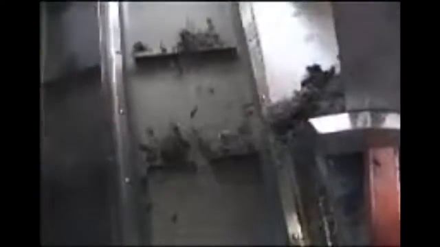 Линия переработки шин в крошку (полного цикла). Http://www.netmus.ru