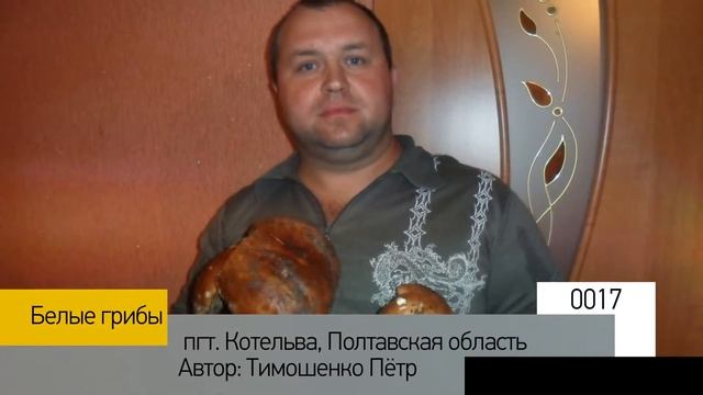 Фотоальбом - Тихая охота №4 смотреть онлайн