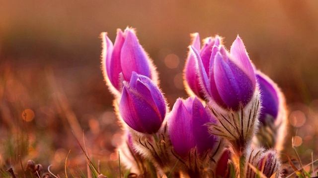 Заполнить «вакуум», который неизбежно образуется на Земле.