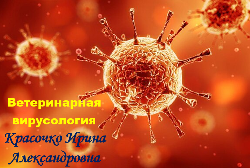 Лекция по общей вирусологии № 1 смотреть онлайн