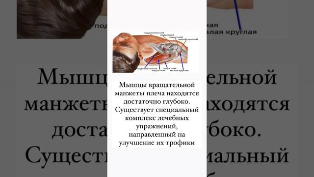 Беспокоит боль в плече? смотреть онлайн