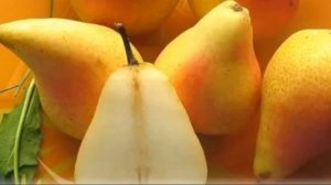 Десертный сорт груши дюшес