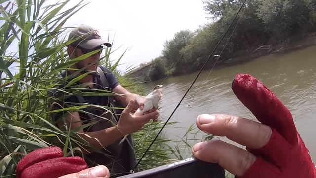 Ловля головля на реке Кума (Major Craft Finetail 662L, Воблер Smith Camion Magnum SR) смотреть онлайн