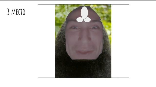 Топ 5 животных смотреть онлайн