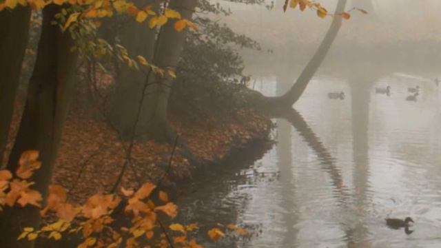 Антиреспект. Там смотреть онлайн