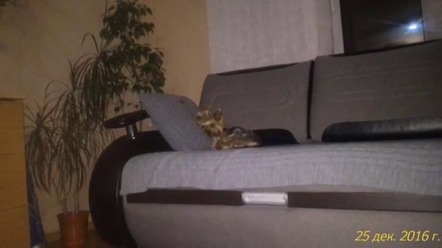 30 января 2018 г.