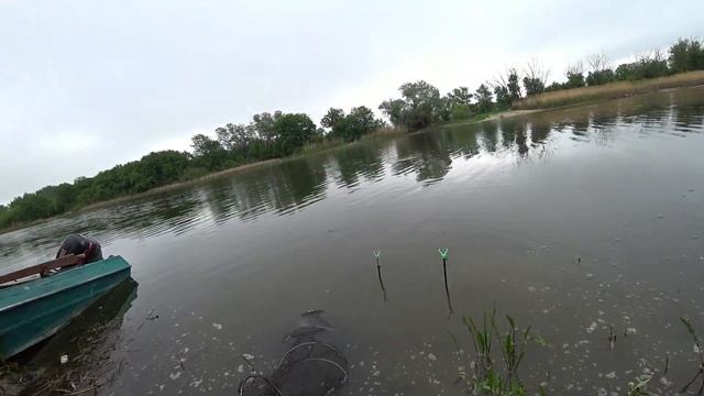 Бешеный клёв карася на удочку Мне было интересно сколько можно поймать его за 3- 4 часа. смотреть онлайн