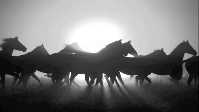 Кони привередливые смотреть онлайн